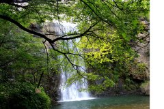 朝鮮旅游多少錢(qián)